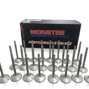 Valve Kit  Nissan TB48 1.5mm Intake & Exhaust  Monster