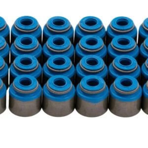 Valve Seal Kit, Nissan TB48, Set of 24